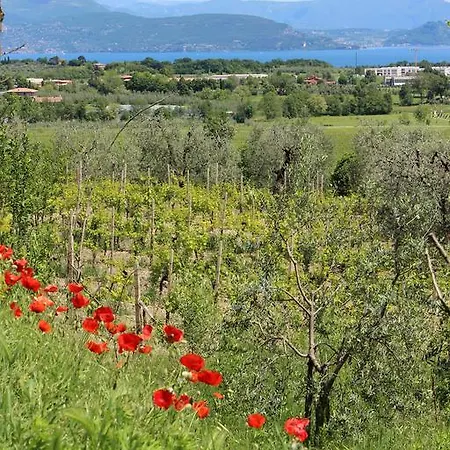 Bio Vivere La Отель типа 