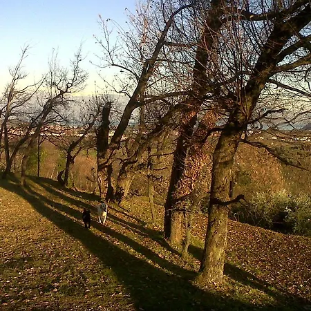Bio Vivere La